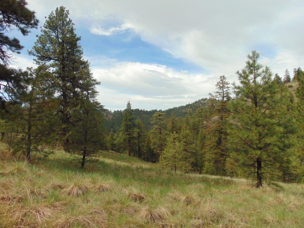 Tbd Shady Springs Property Photo 52