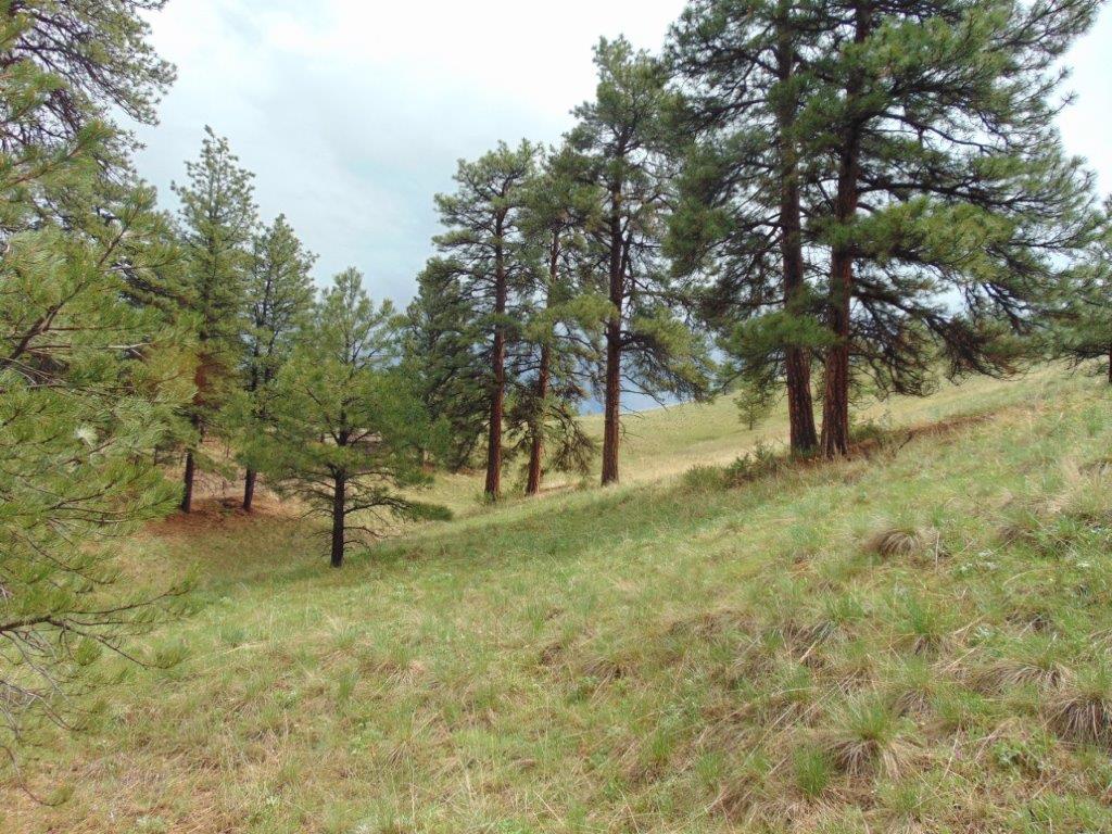 Tbd Shady Springs Property Photo 54