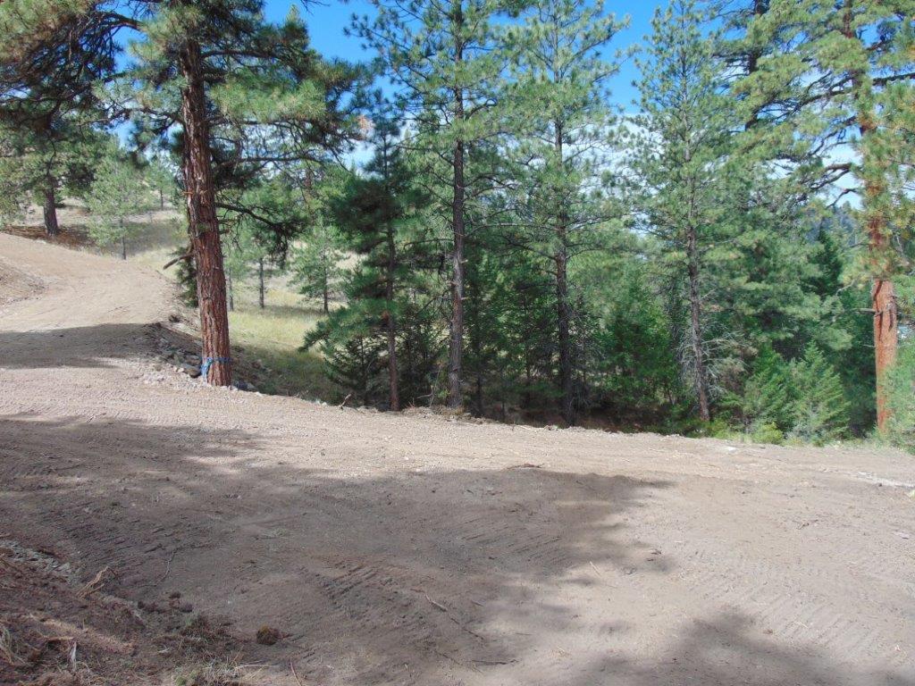 Tbd Shady Springs Property Photo 57