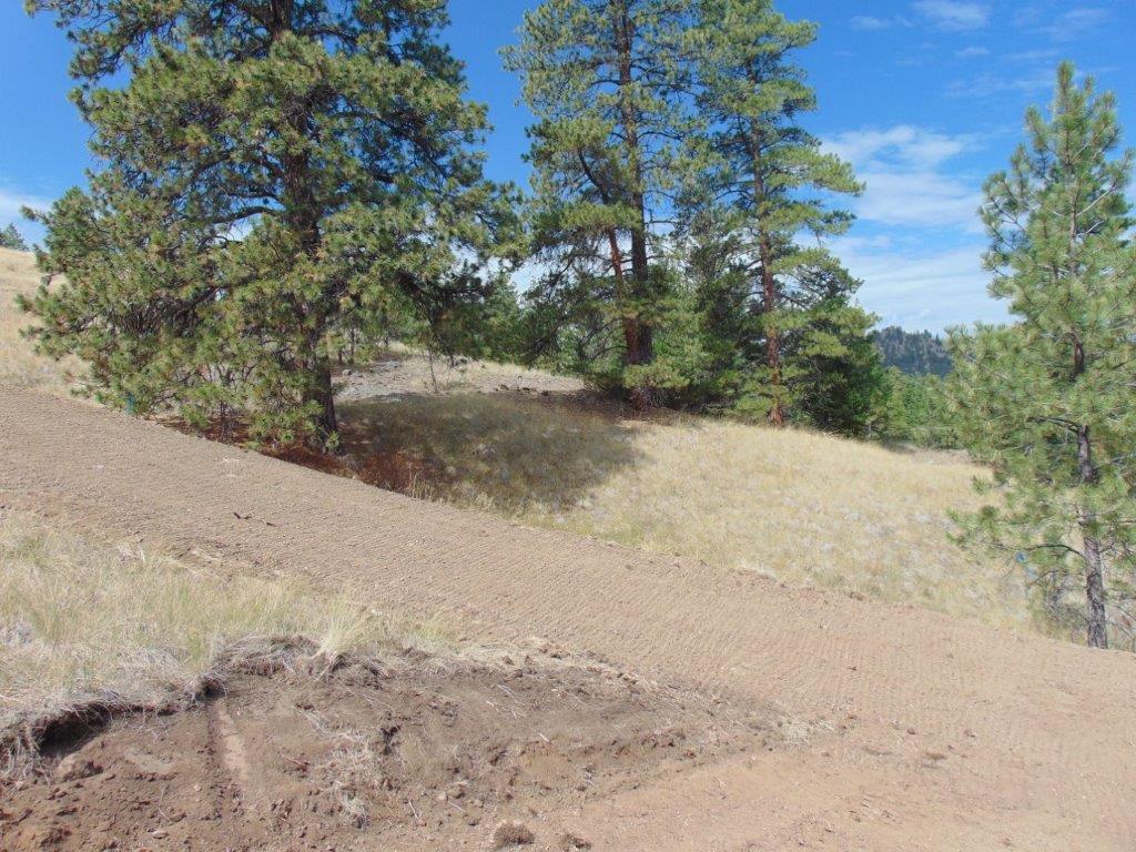 Tbd Shady Springs Property Photo 60