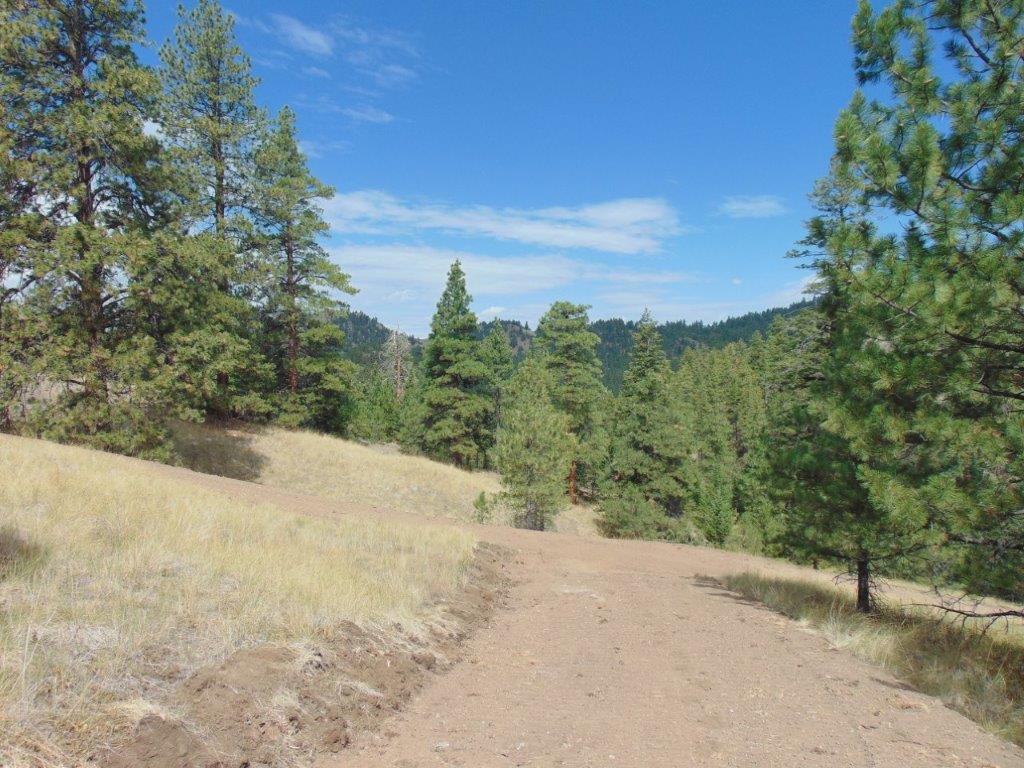 Tbd Shady Springs Property Photo 61