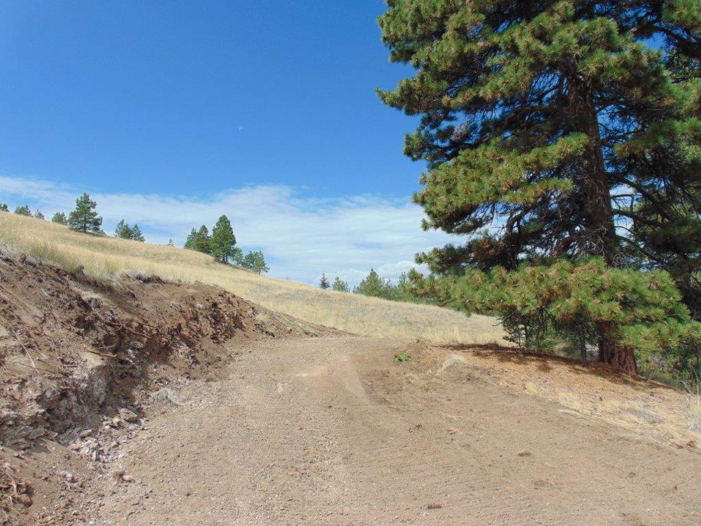 Tbd Shady Springs Property Photo 62
