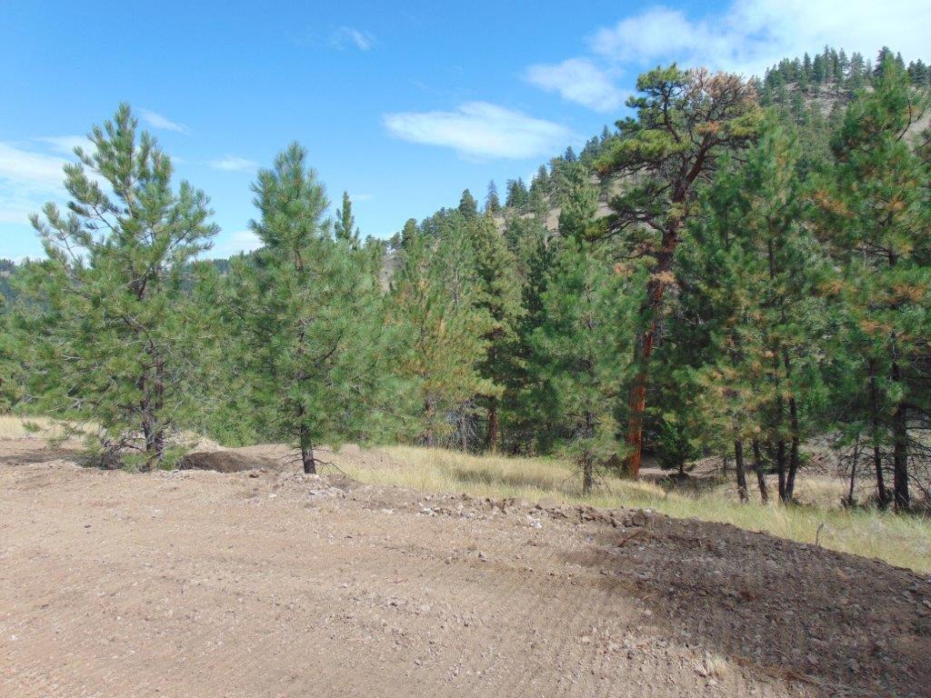 Tbd Shady Springs Property Photo 65
