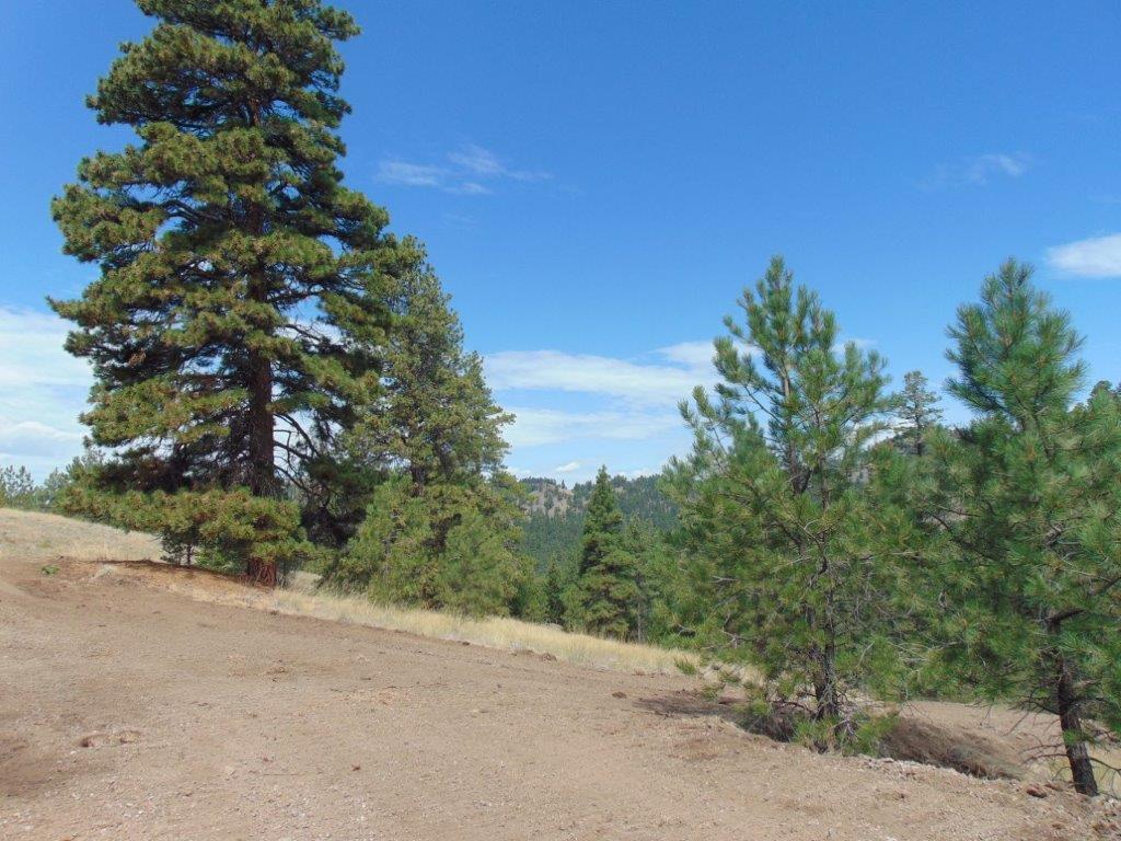 Tbd Shady Springs Property Photo 66