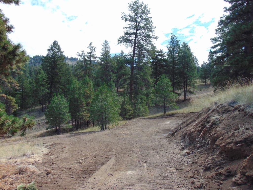 Tbd Shady Springs Property Photo 67
