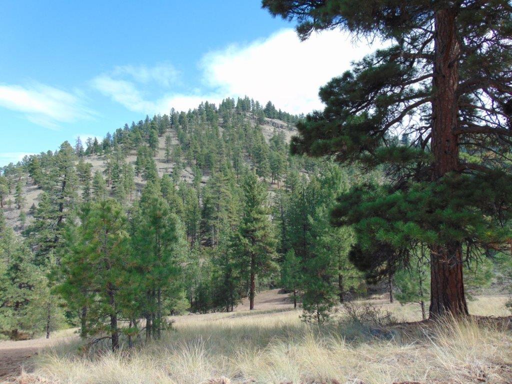 Tbd Shady Springs Property Photo 69