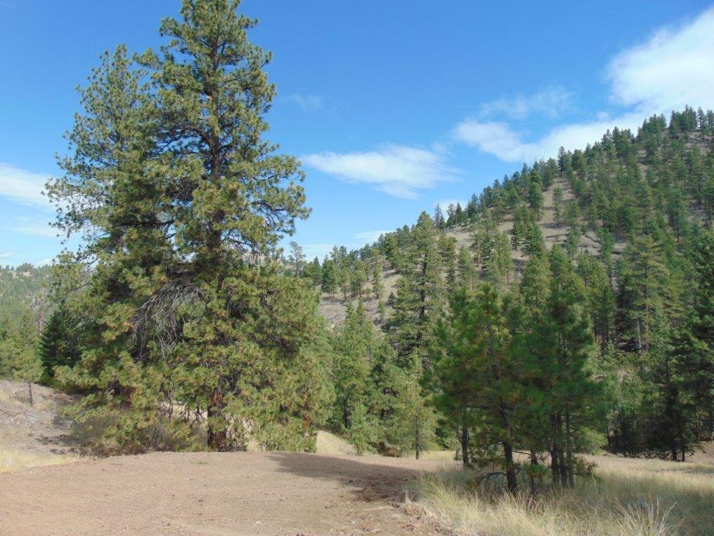 Tbd Shady Springs Property Photo 70