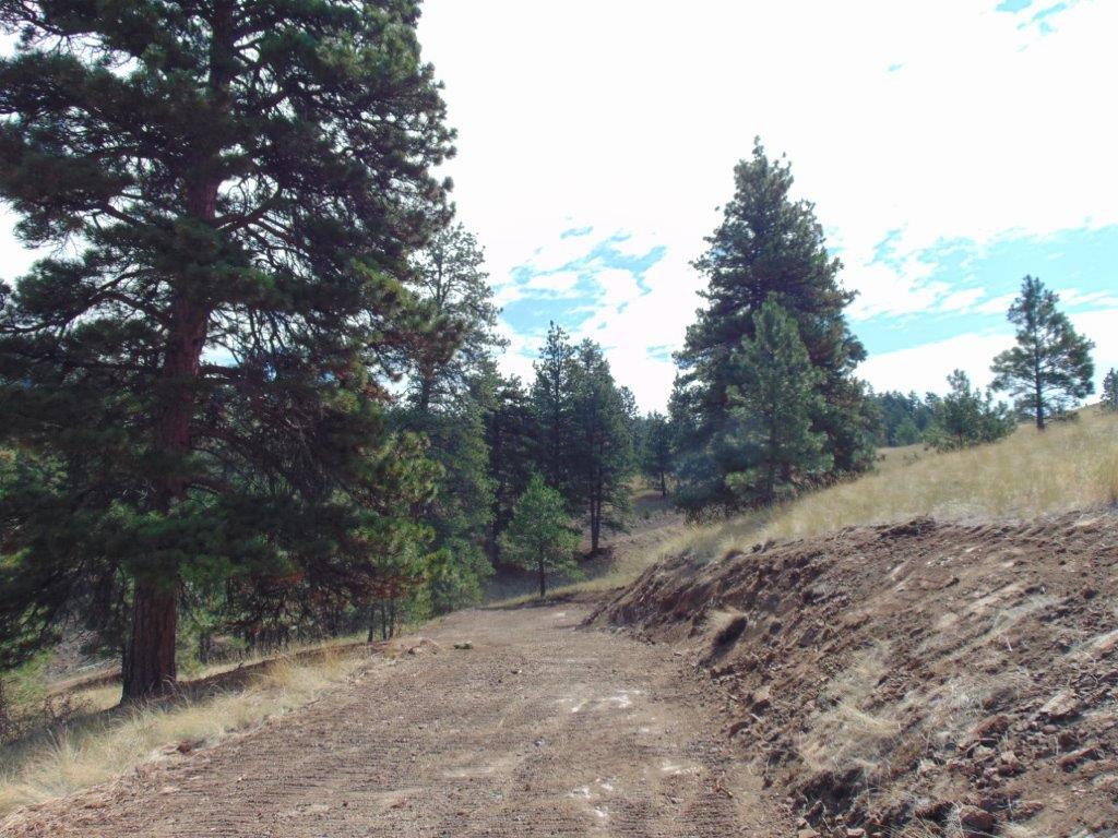 Tbd Shady Springs Property Photo 71