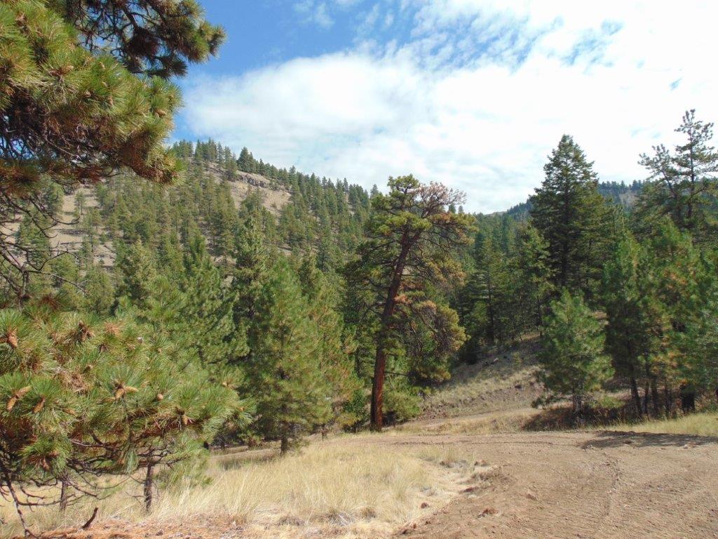 Tbd Shady Springs Property Photo 72