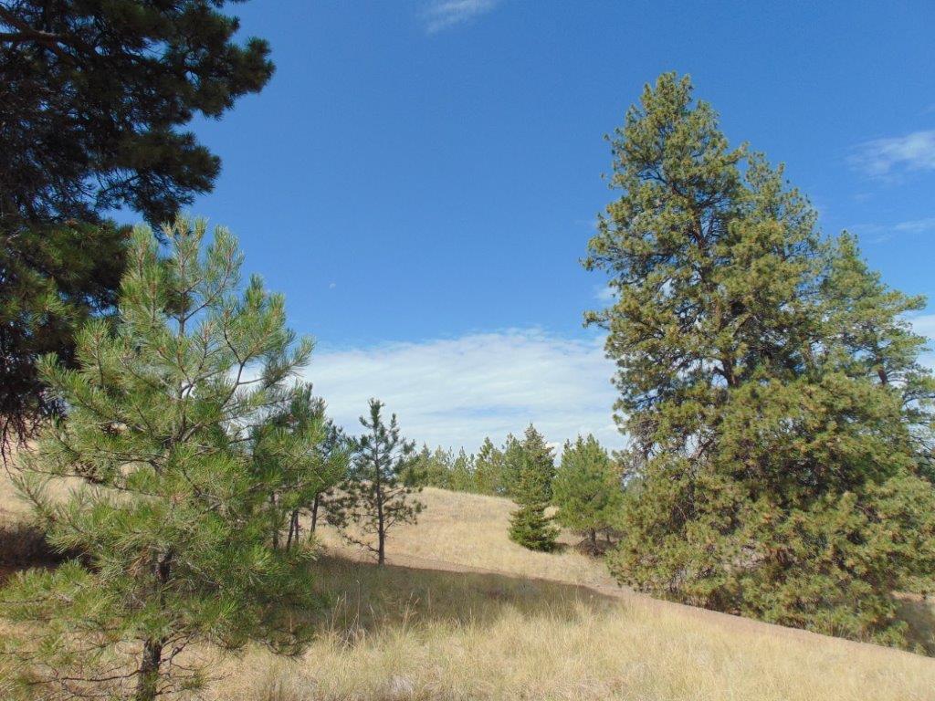 Tbd Shady Springs Property Photo 73