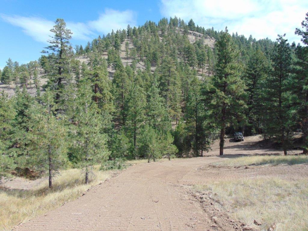 Tbd Shady Springs Property Photo 74