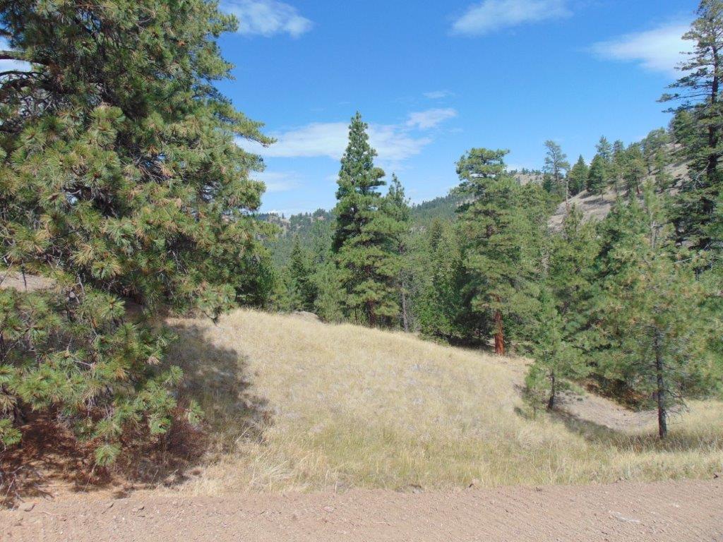 Tbd Shady Springs Property Photo 75