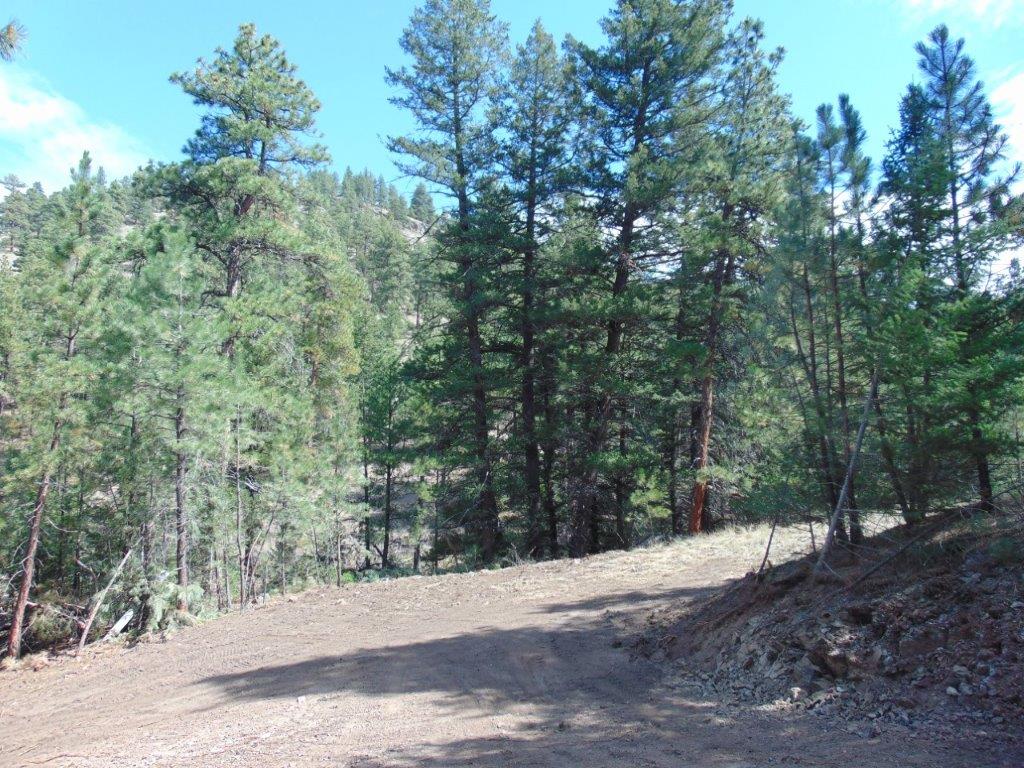 Tbd Shady Springs Property Photo 76