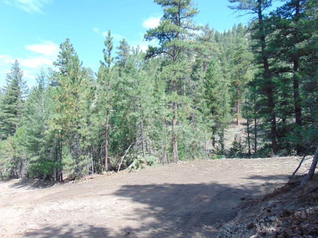 Tbd Shady Springs Property Photo 77