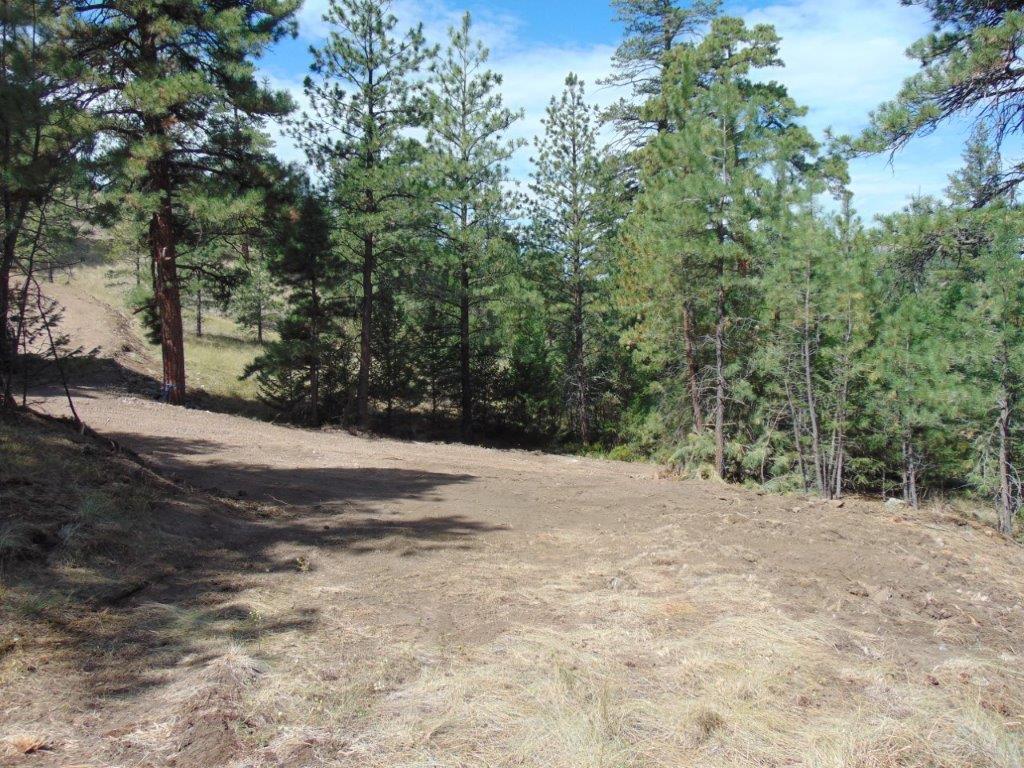 Tbd Shady Springs Property Photo 78