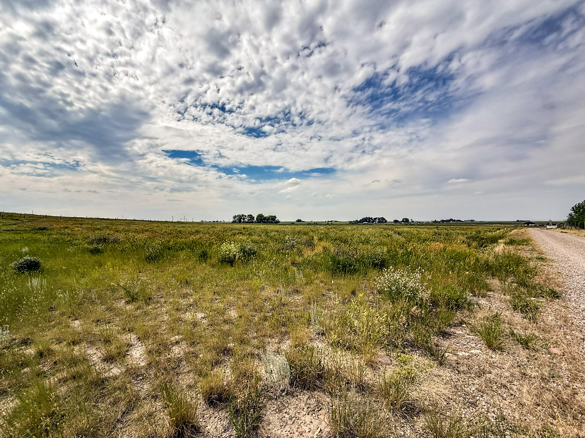 Nhn Kamloops Road Property Photo 14