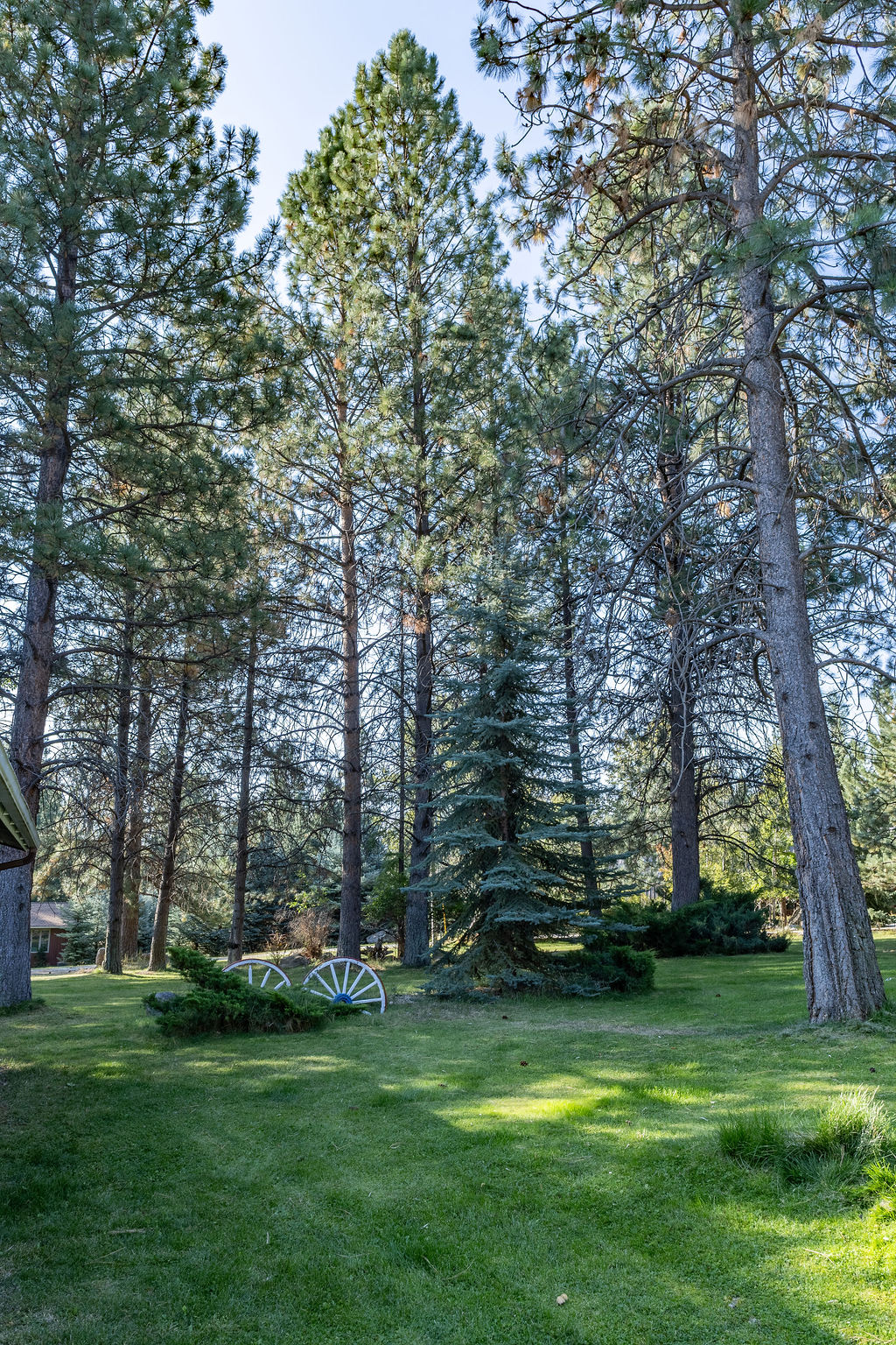 109 Canyon Creek Drive Property Photo 37