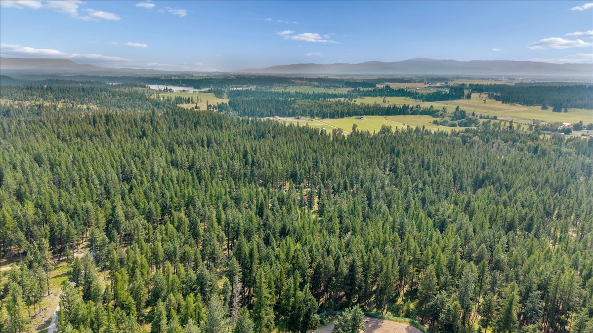 694 Boulder Ridge Trail Property Photo 38