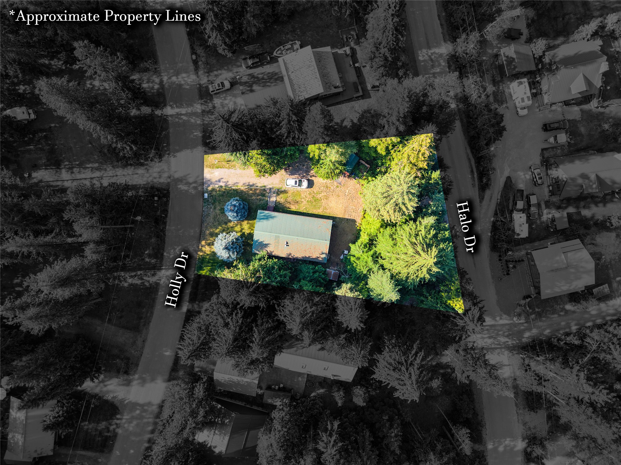 132 Holly Drive Property Photo 18