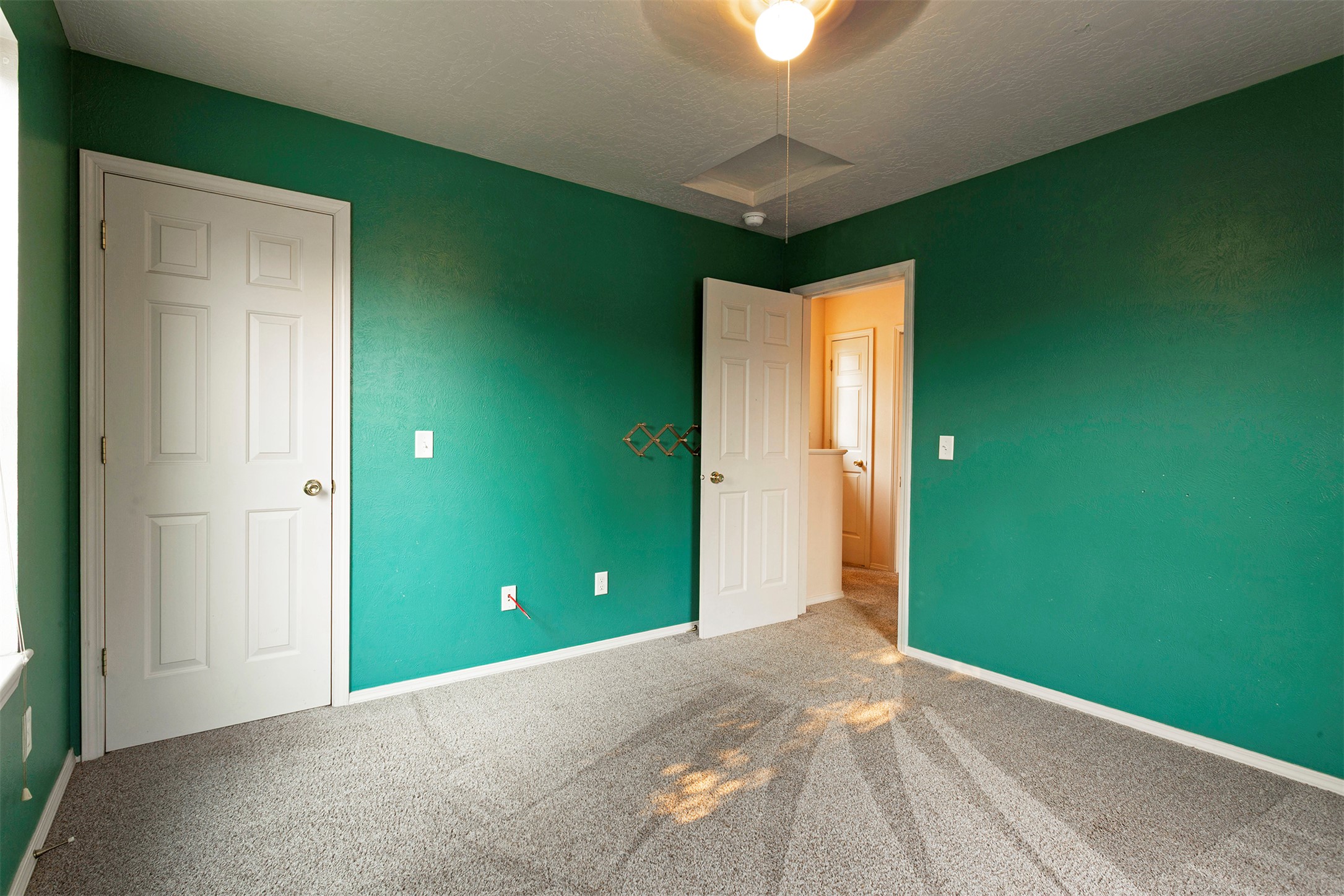 1341 Bulwer Street B Property Photo 20