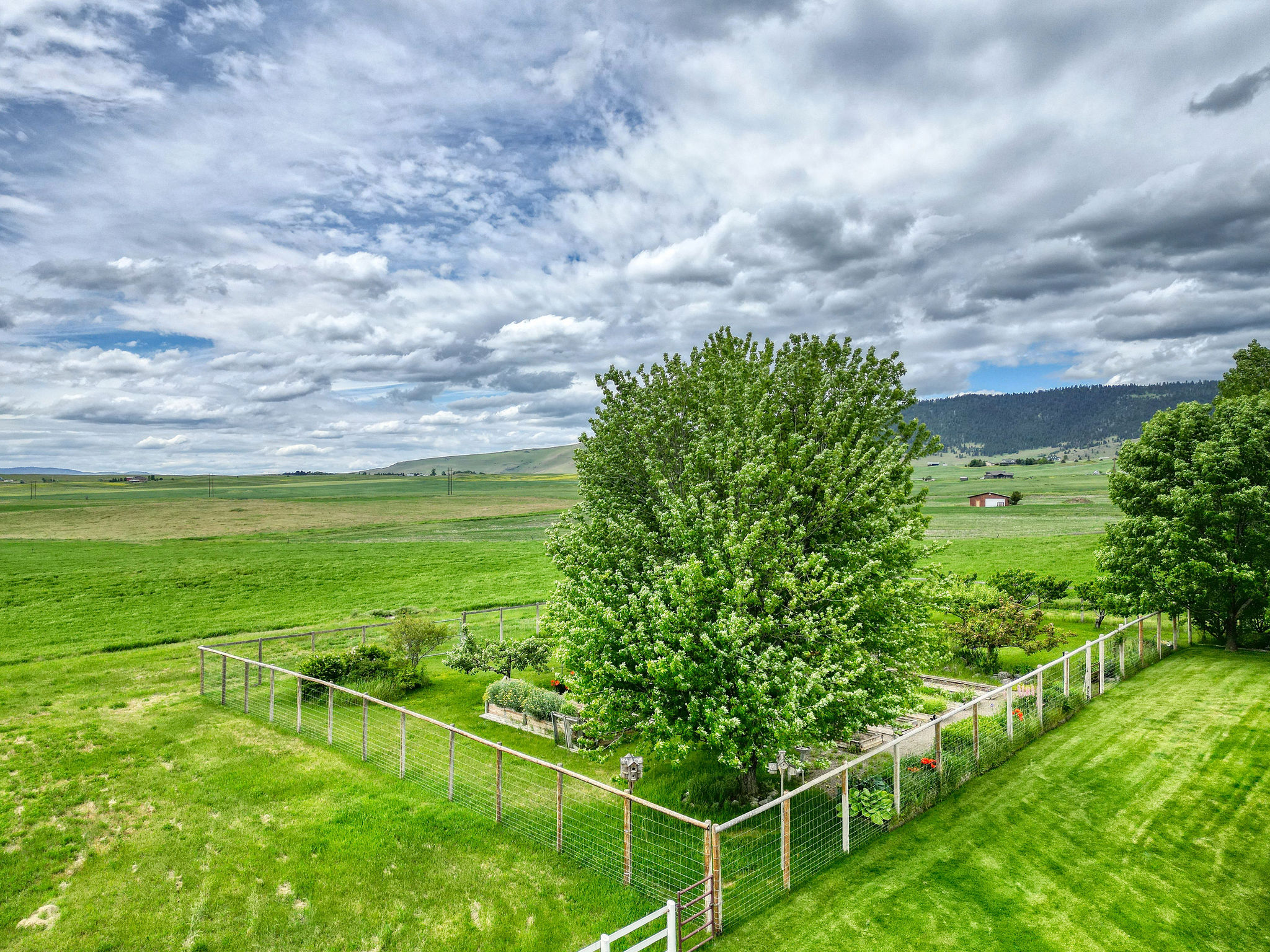 41547 Flathead View Drive Property Photo 52