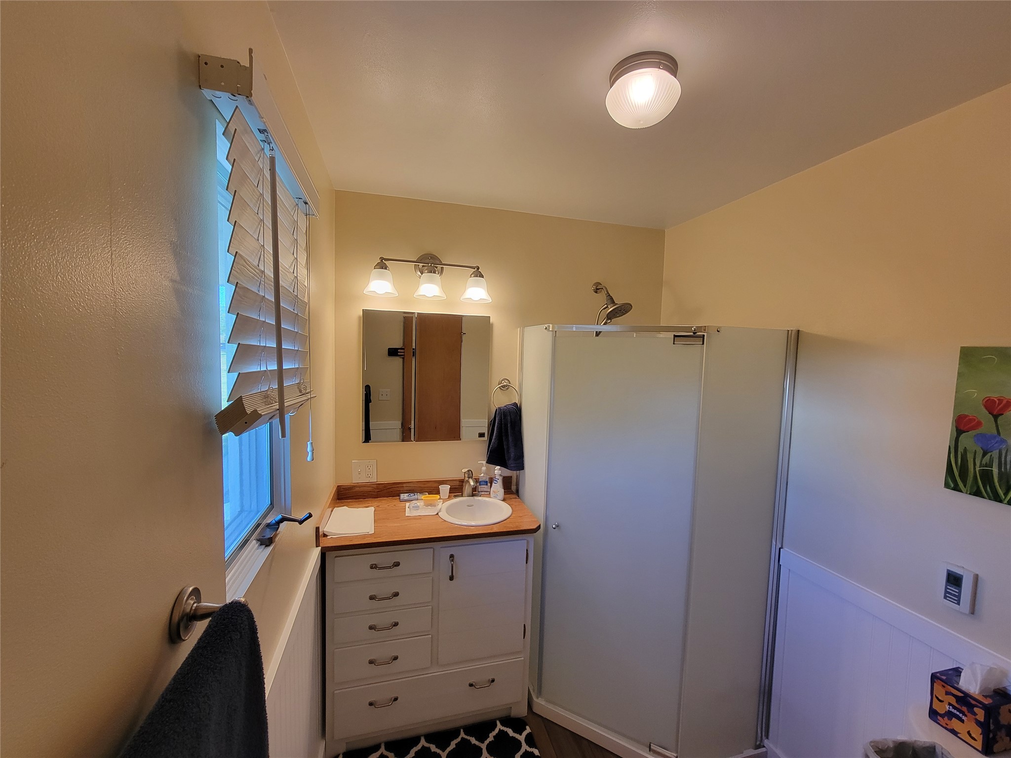 29 Lower Lynch Creek Road Property Photo 53