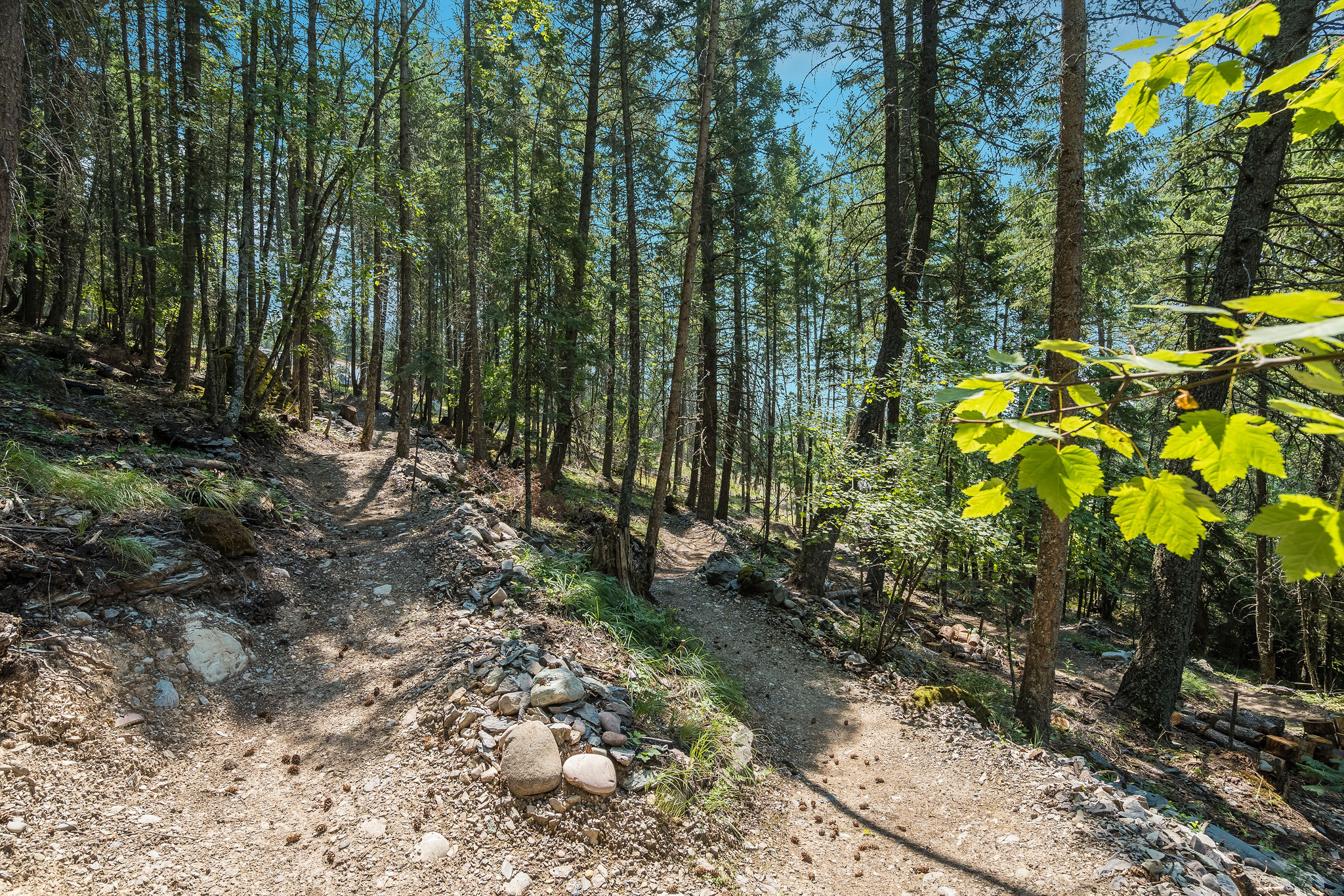 244 Bench Drive Property Photo 52