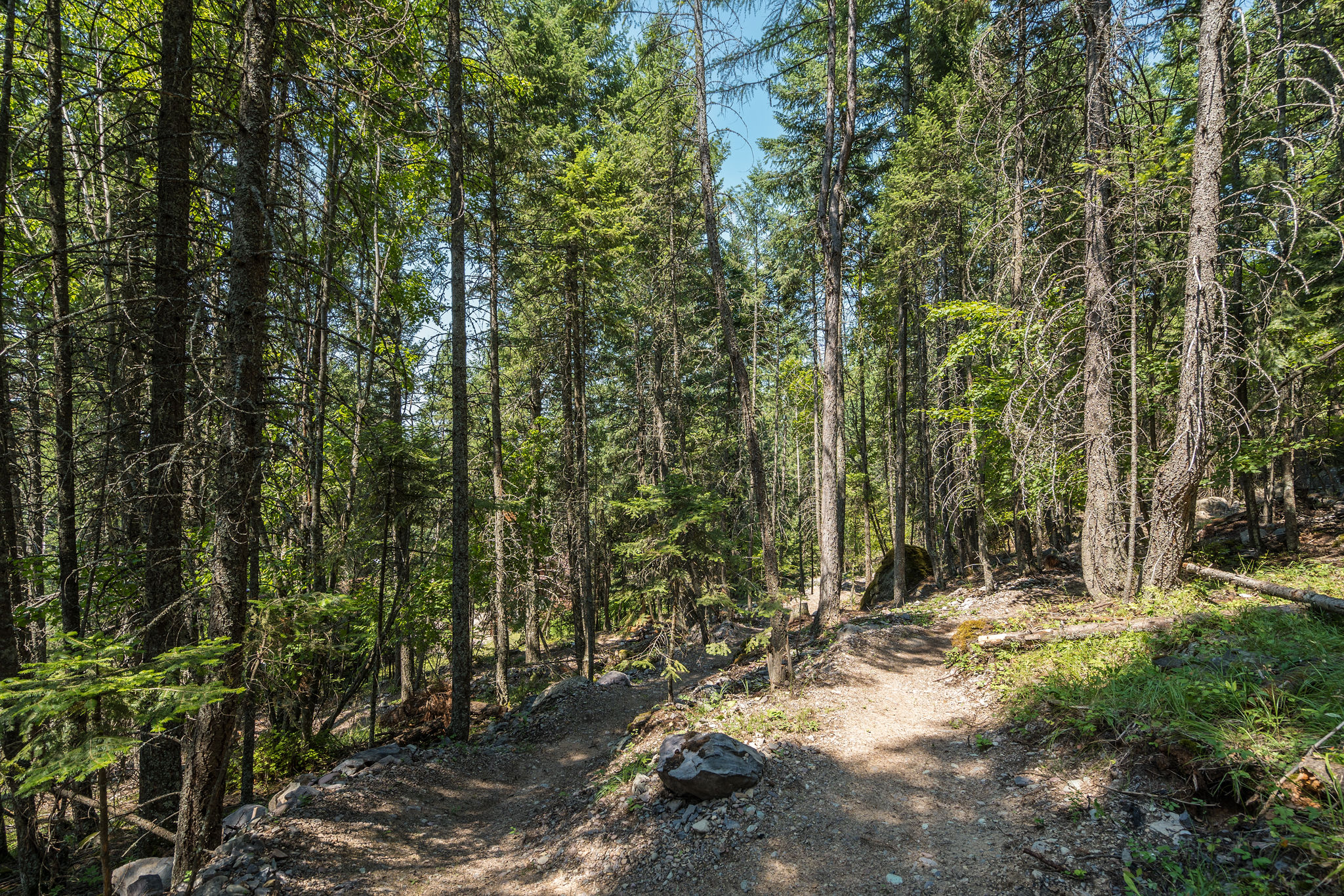 244 Bench Drive Property Photo 53