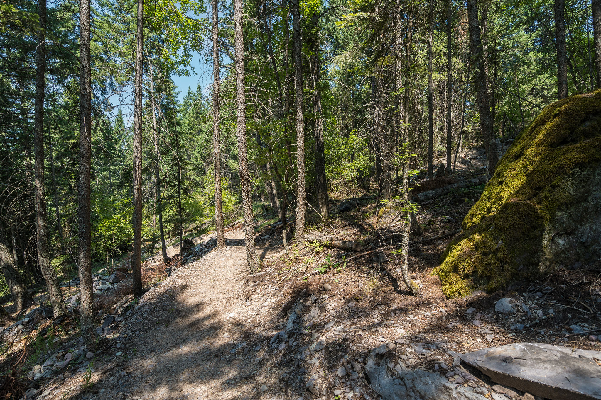 244 Bench Drive Property Photo 54
