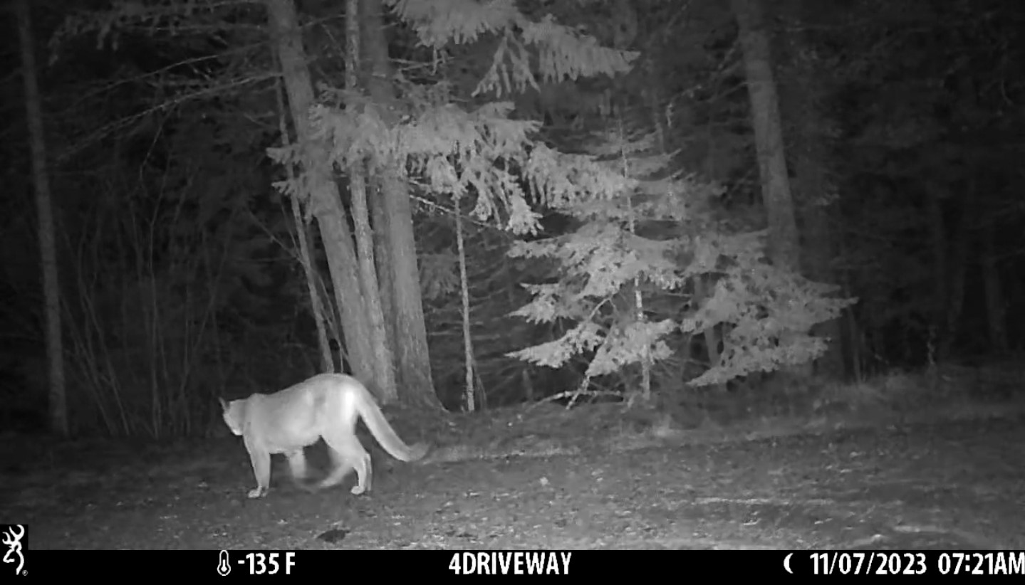 244 Bench Drive Property Photo 76