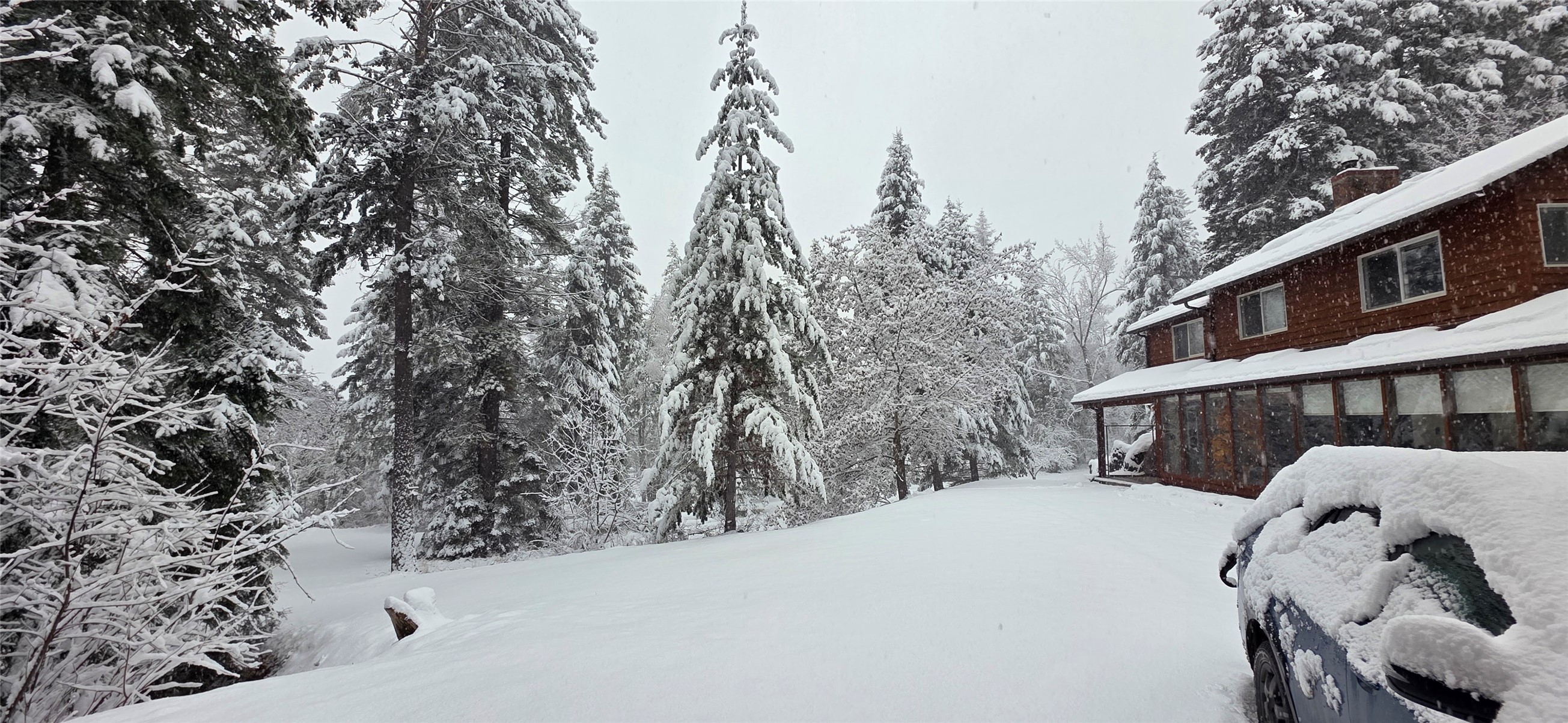 244 Bench Drive Property Photo 78
