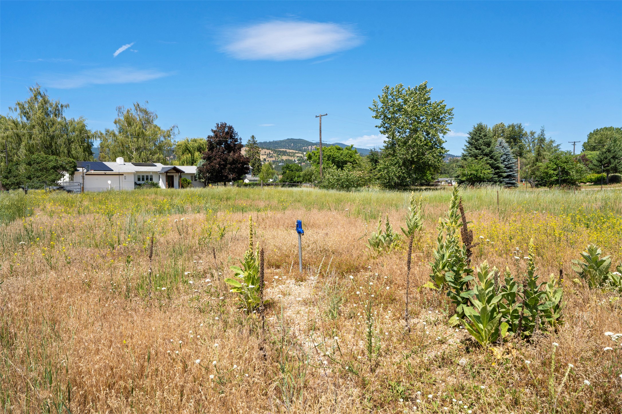 12620 Ottomar Lane Property Photo 9