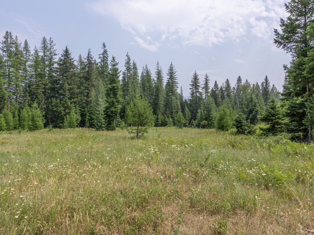 57 Triple J Loop Property Photo 64
