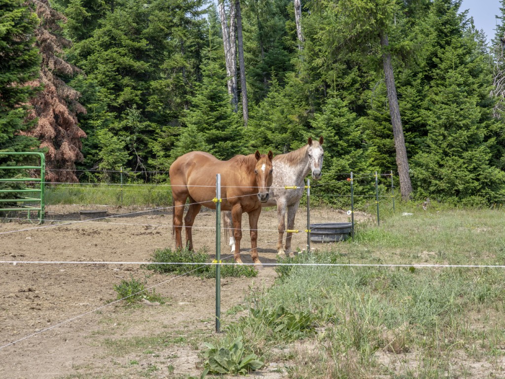 57 Triple J Loop Property Photo 66