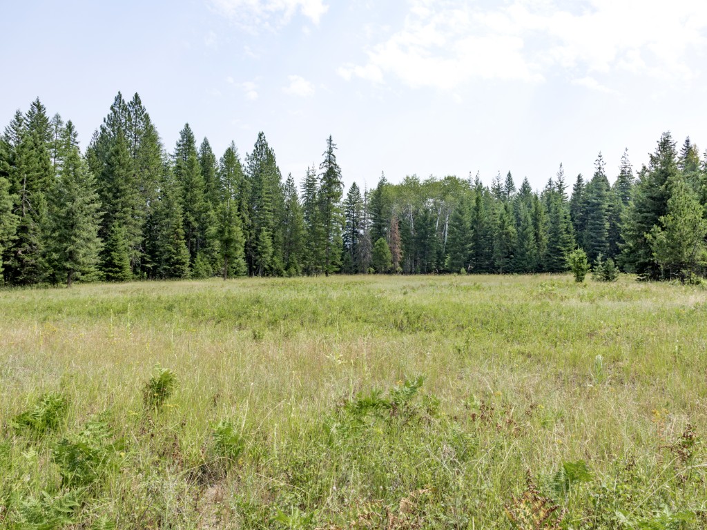 57 Triple J Loop Property Photo 69