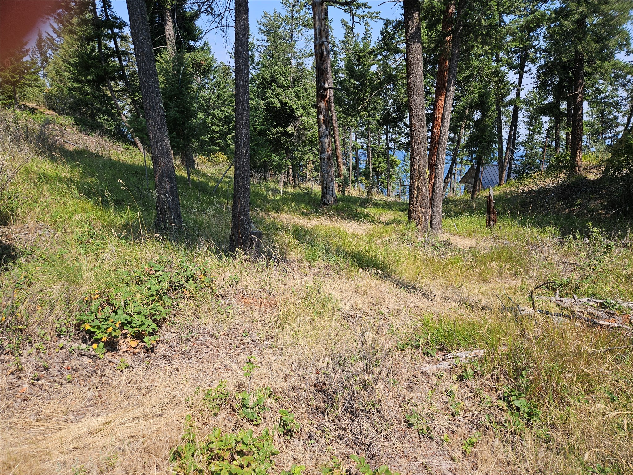 Nhn Westside Drive Property Photo 3