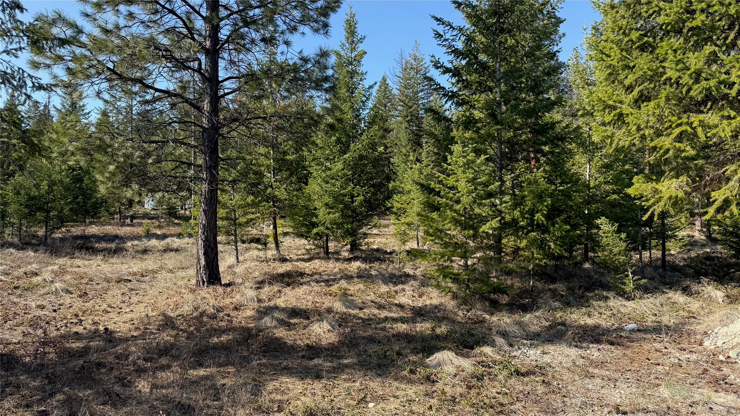 Tbd Kootenai Echo Trail Property Photo 9
