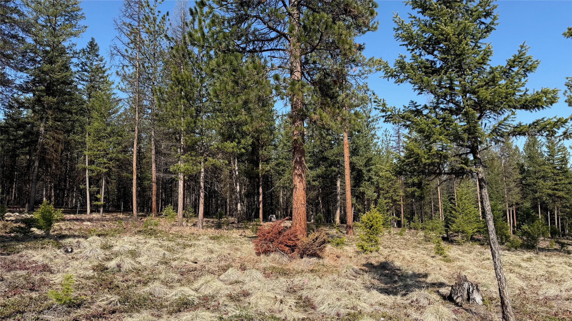 Tbd Kootenai Echo Trail Property Photo 11