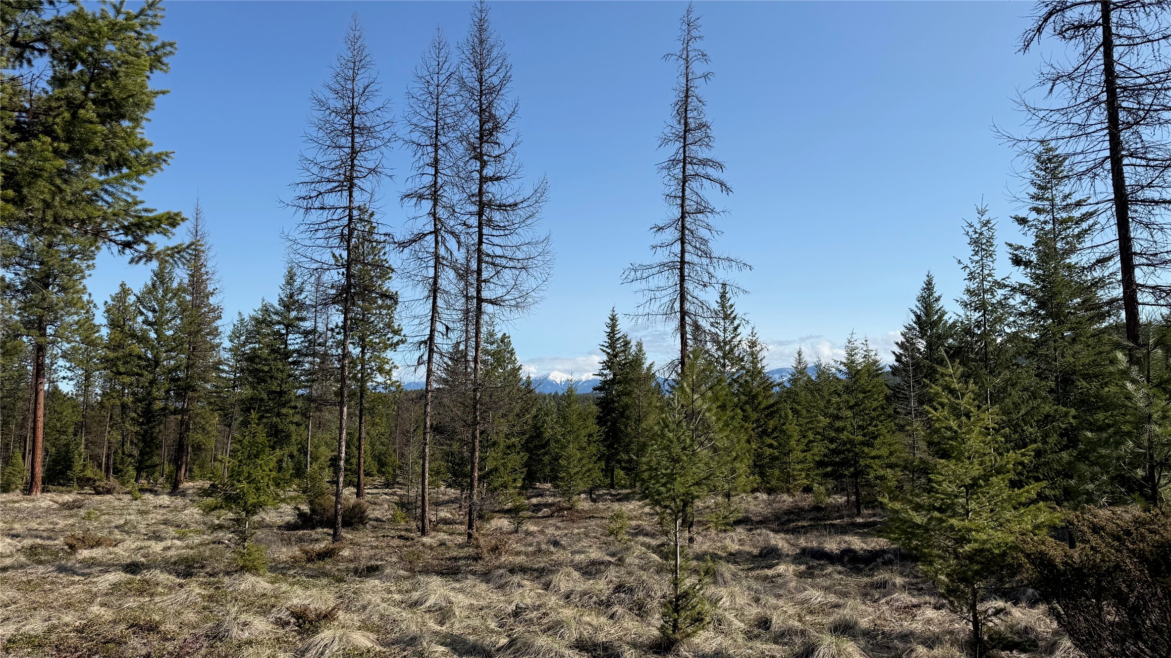 Tbd Kootenai Echo Trail Property Photo 12