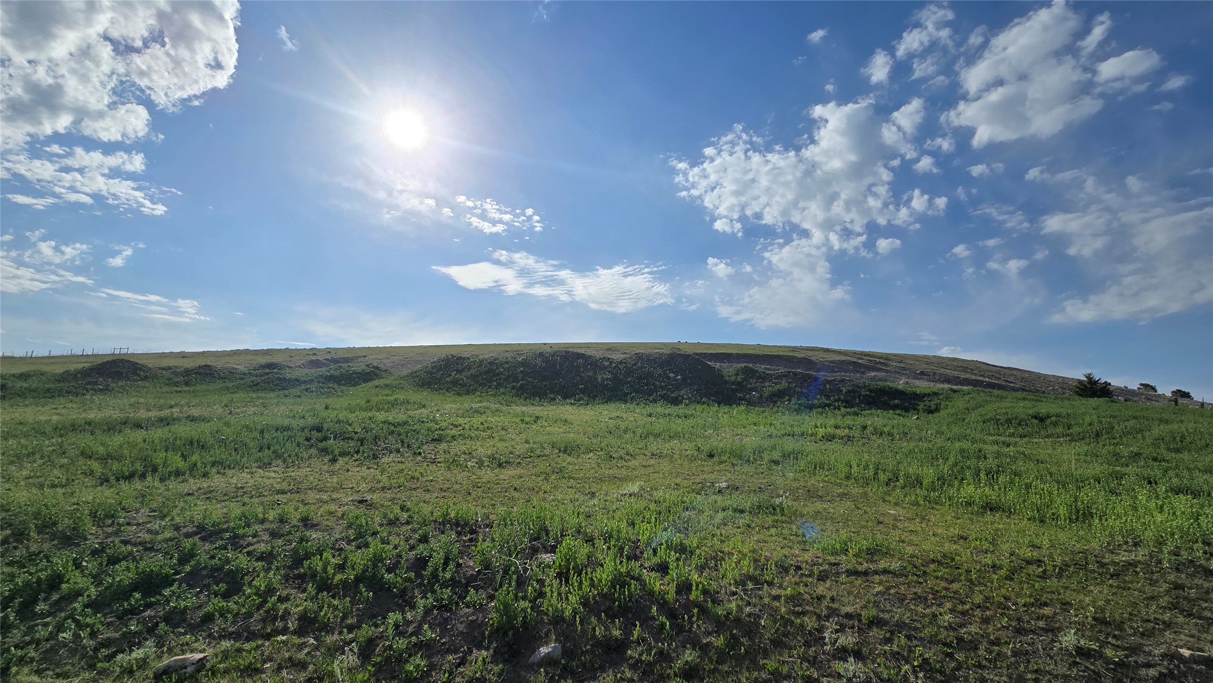 44281 Turnquist Road Property Photo 13