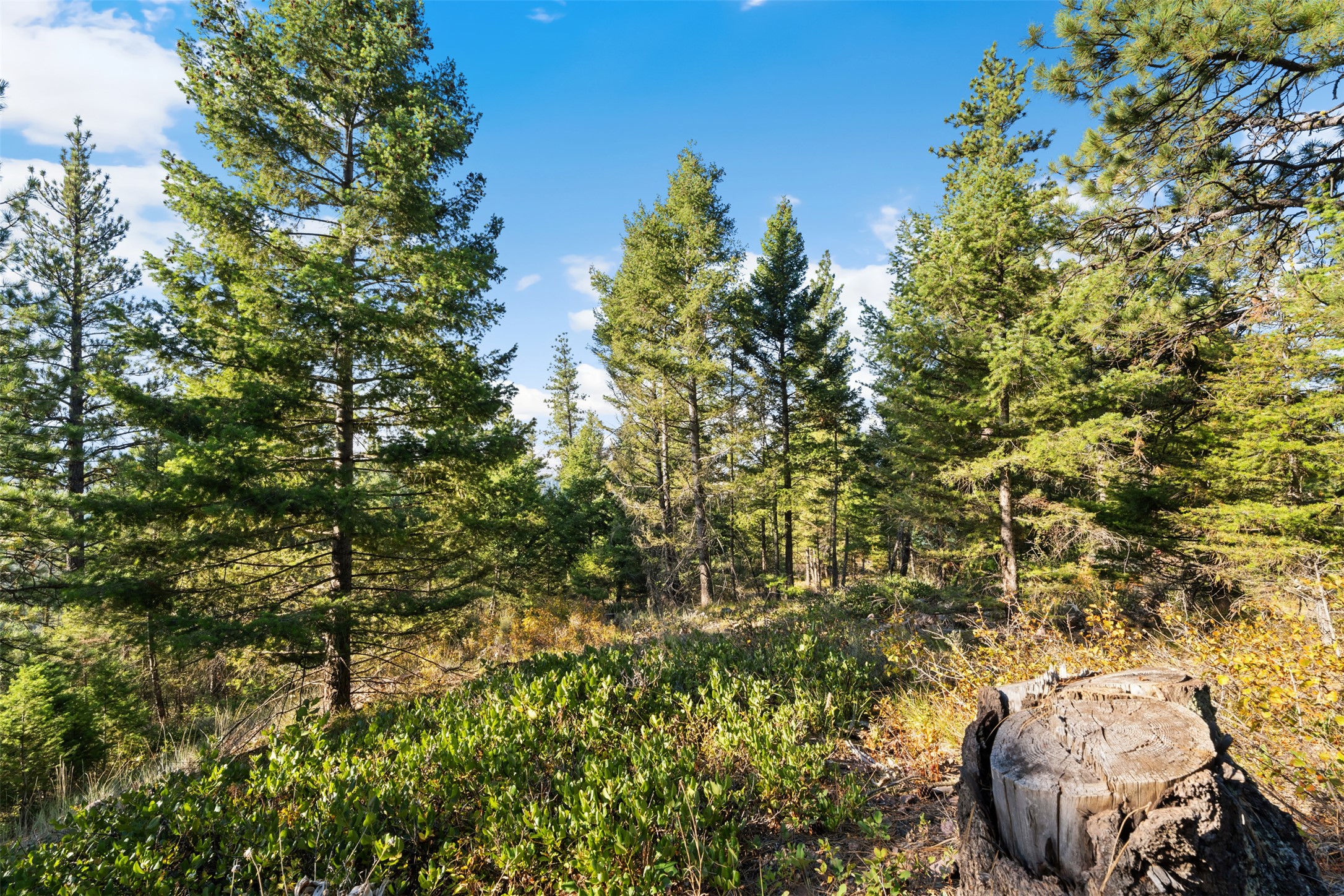 18371 High Mountain View Property Photo 15
