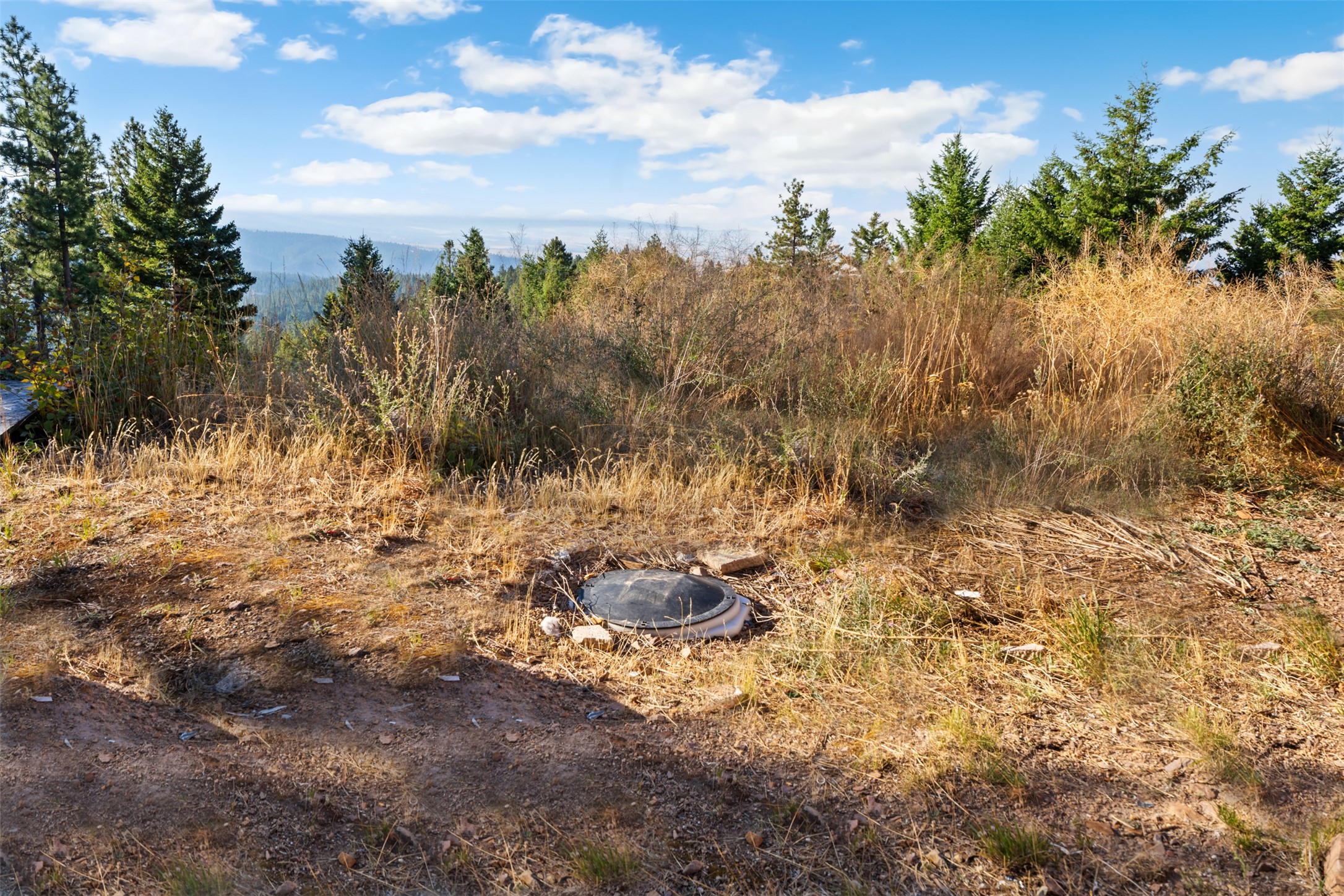 18371 High Mountain View Property Photo 16