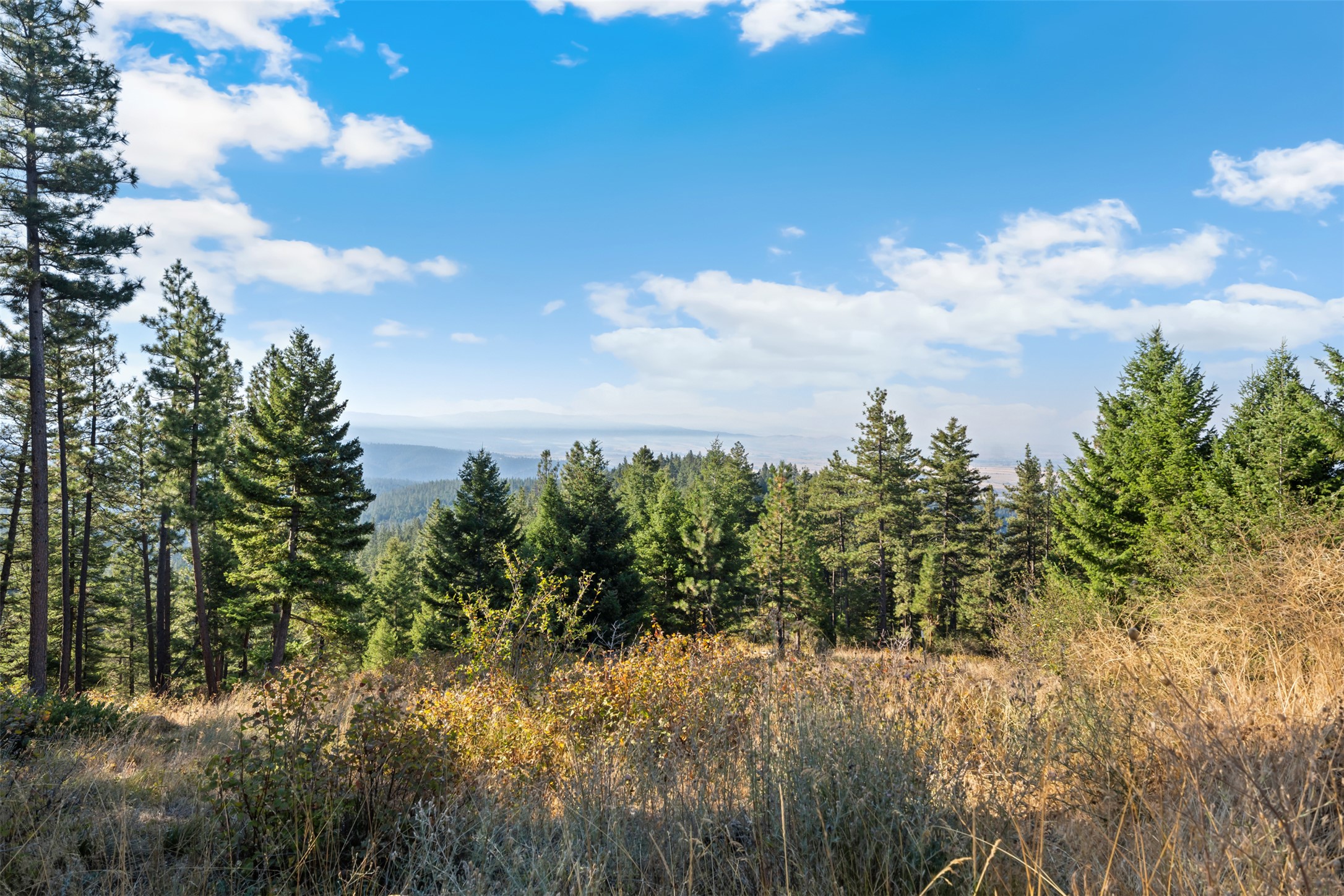 18371 High Mountain View Property Photo 17
