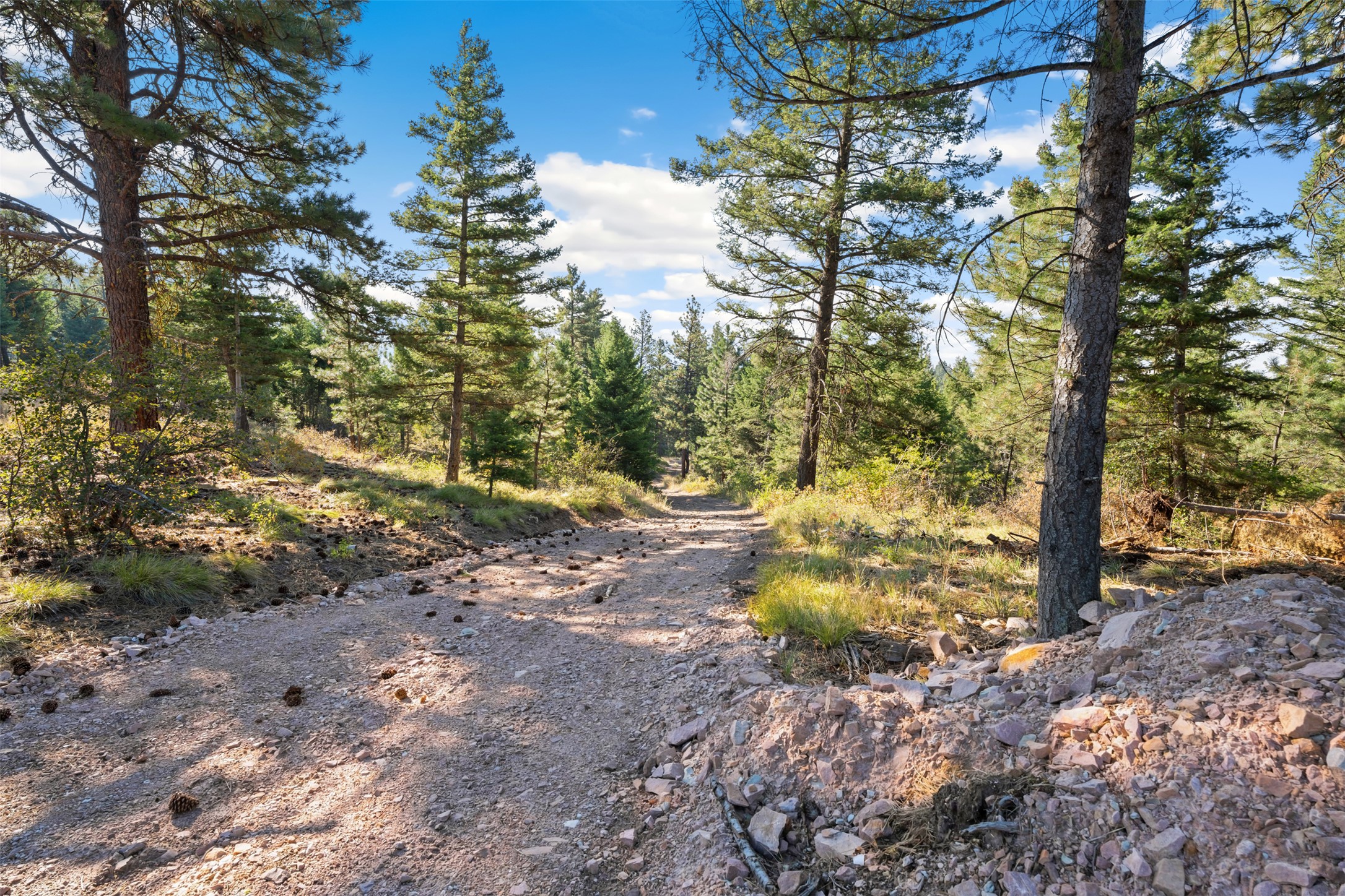 18371 High Mountain View Property Photo 18
