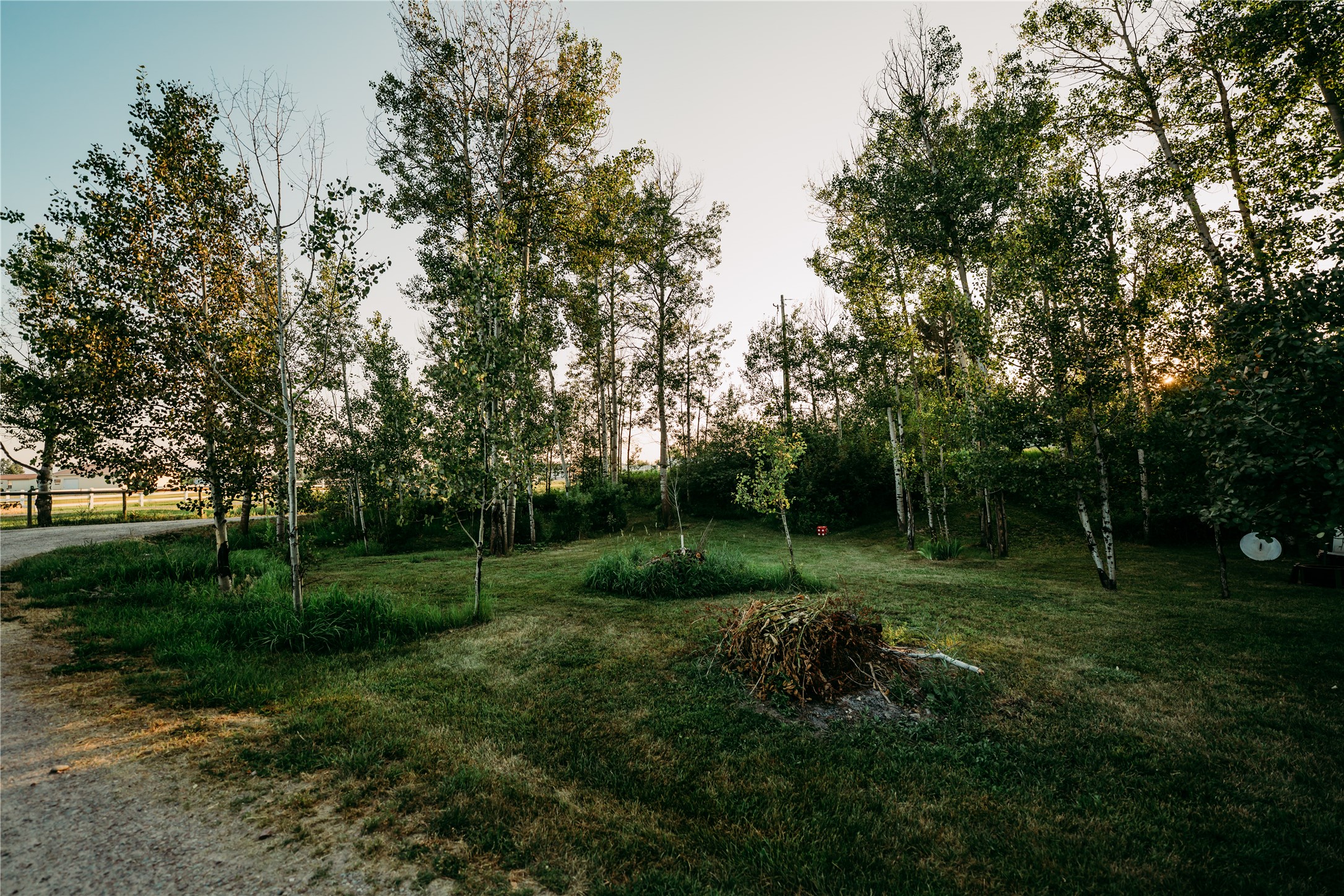 1137 Aspen Lane Property Photo 46