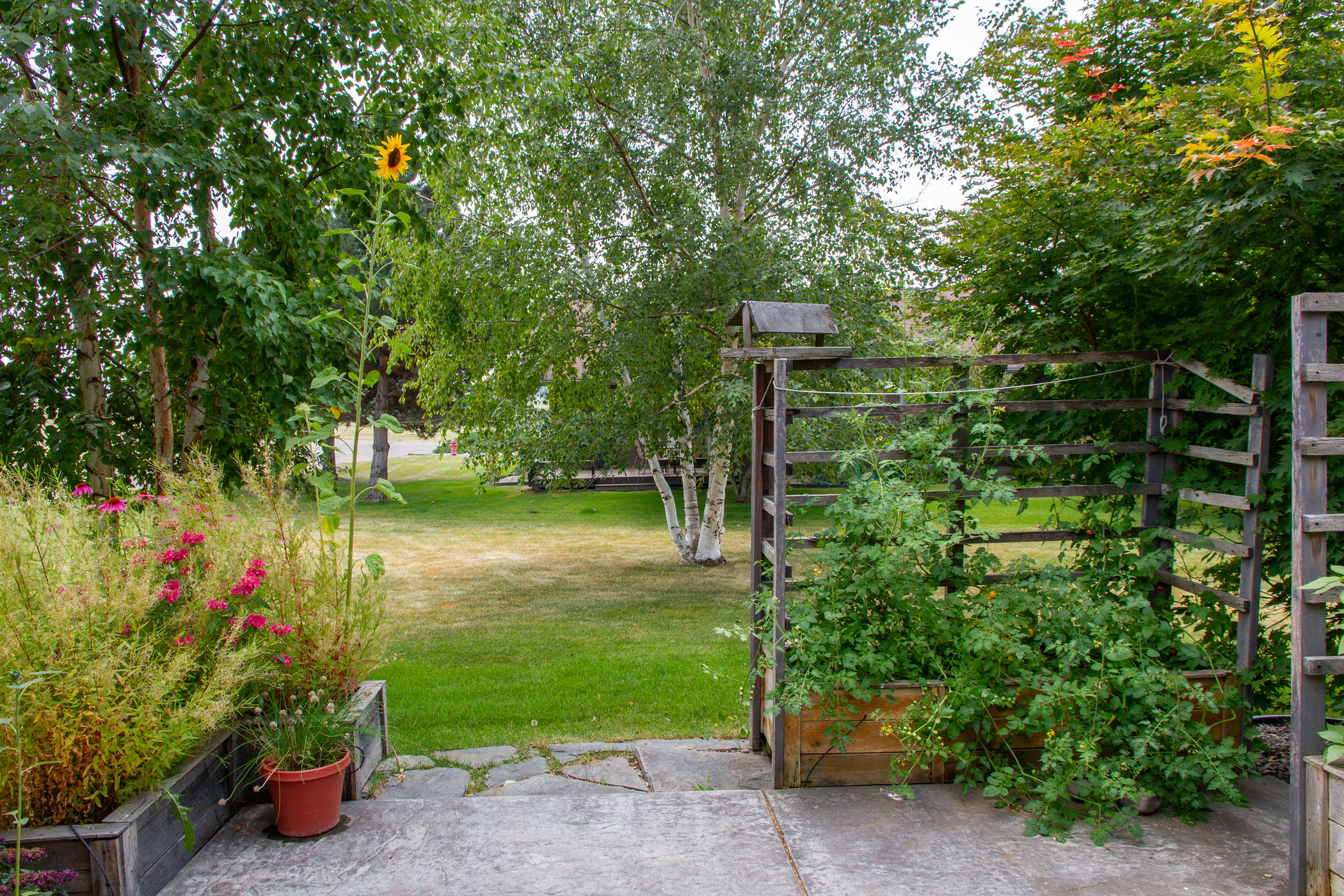 101 Jefferson Court Property Photo 33