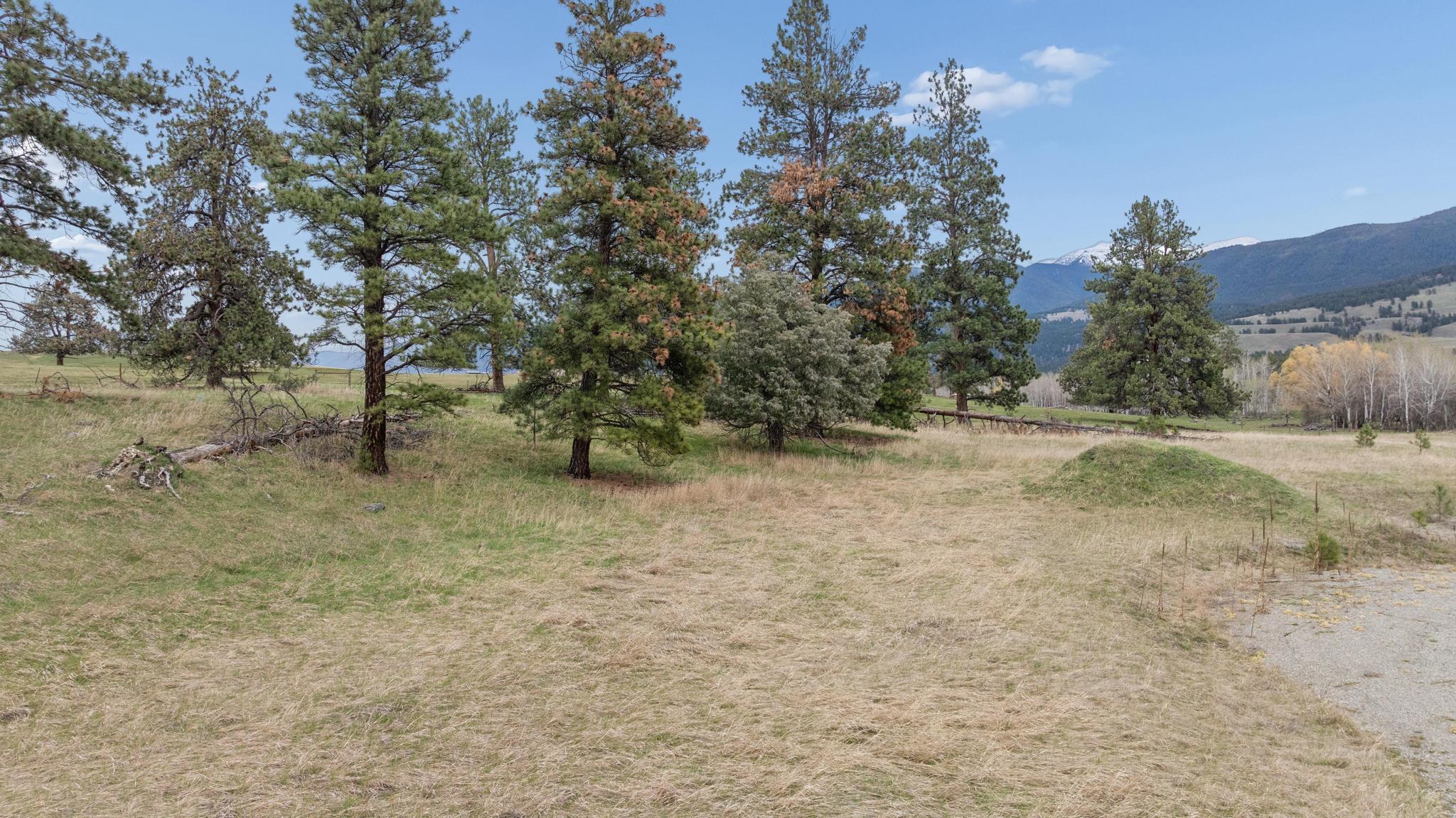 15 Sophie Creek Lane Property Photo 2
