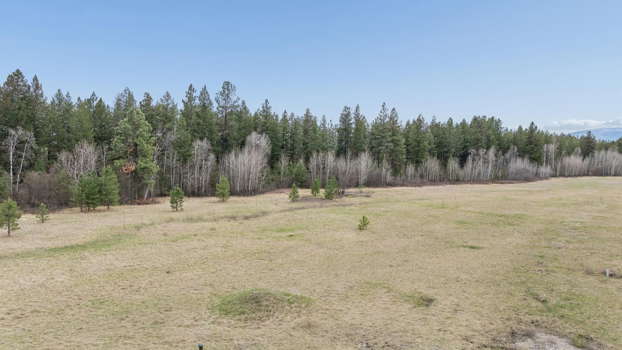 15 Sophie Creek Lane Property Photo 4