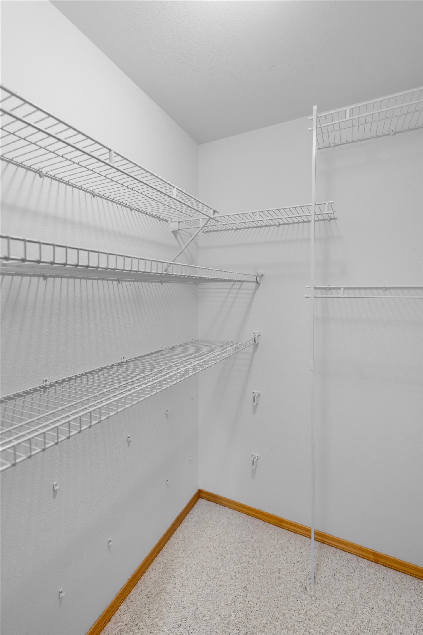 193 Cormoret Loop Property Photo 34