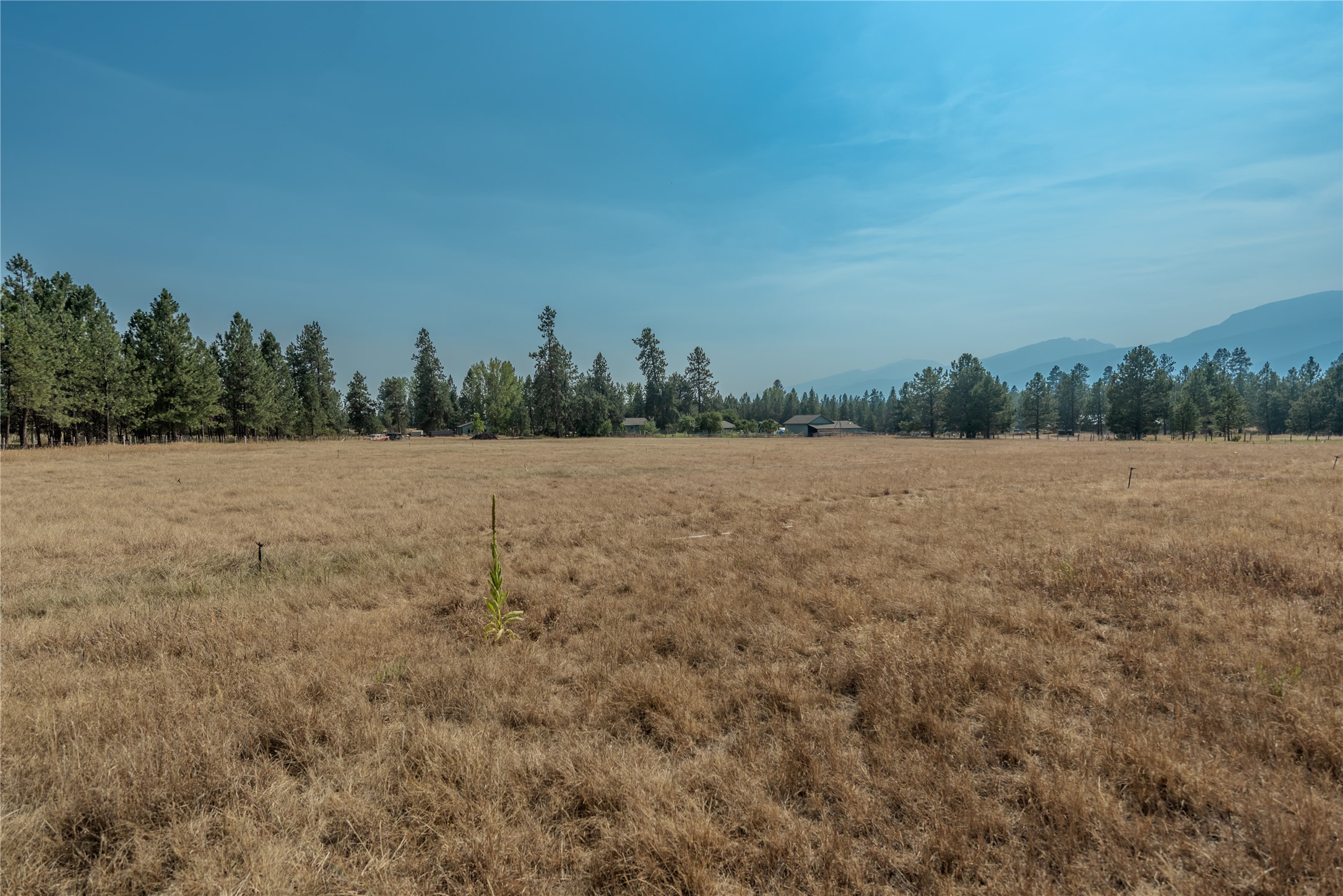 193 Cormoret Loop Property Photo 63